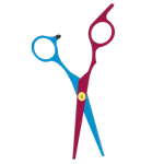 salonna logo